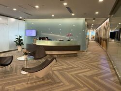 Mapletree Anson (D2), Office #451554011